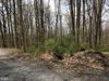 ROD AND GUN ROAD photo